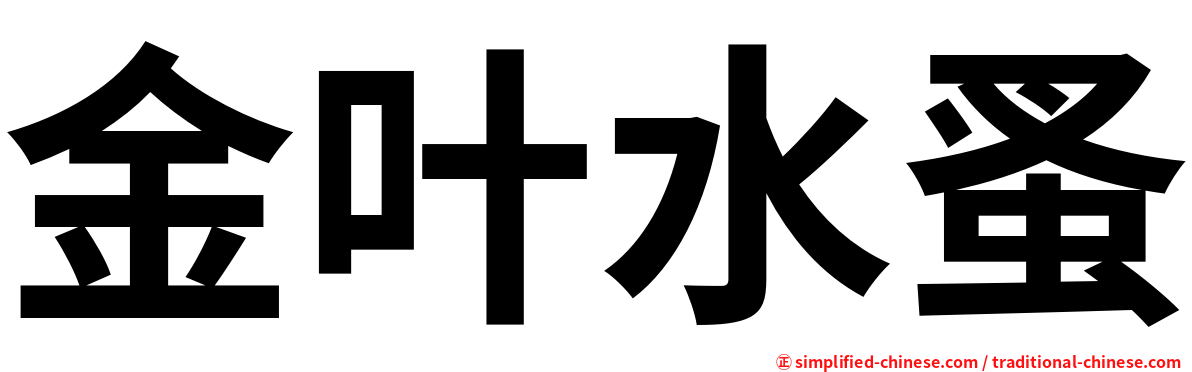 金叶水蚤