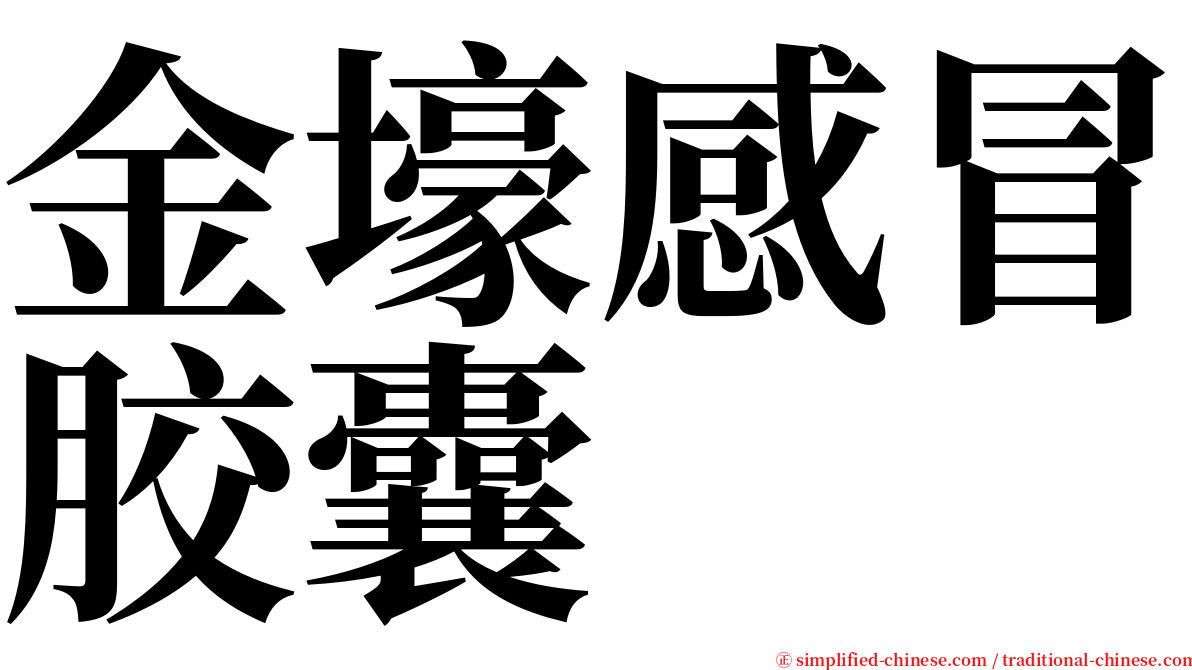 金壕感冒胶囊 serif font