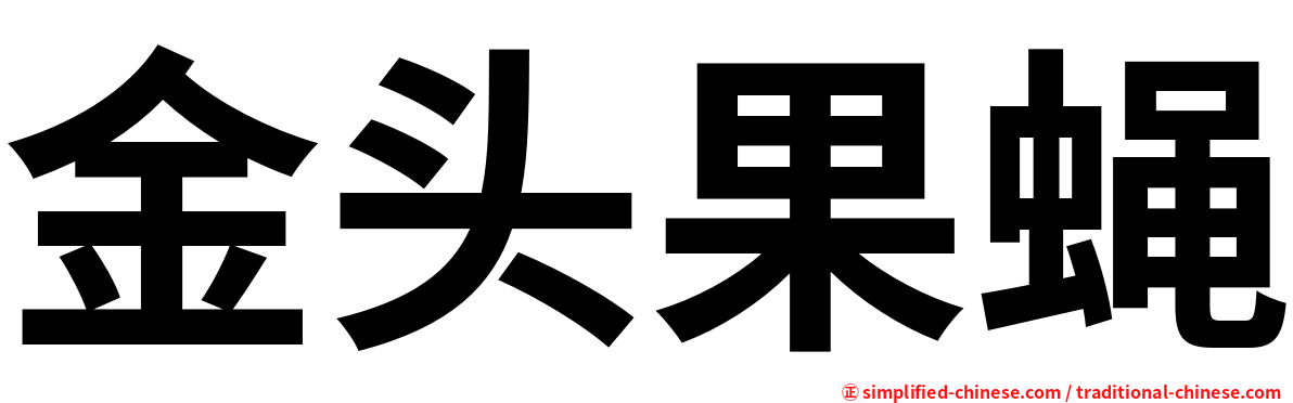 金头果蝇