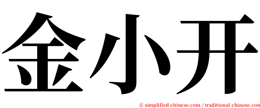 金小开 serif font