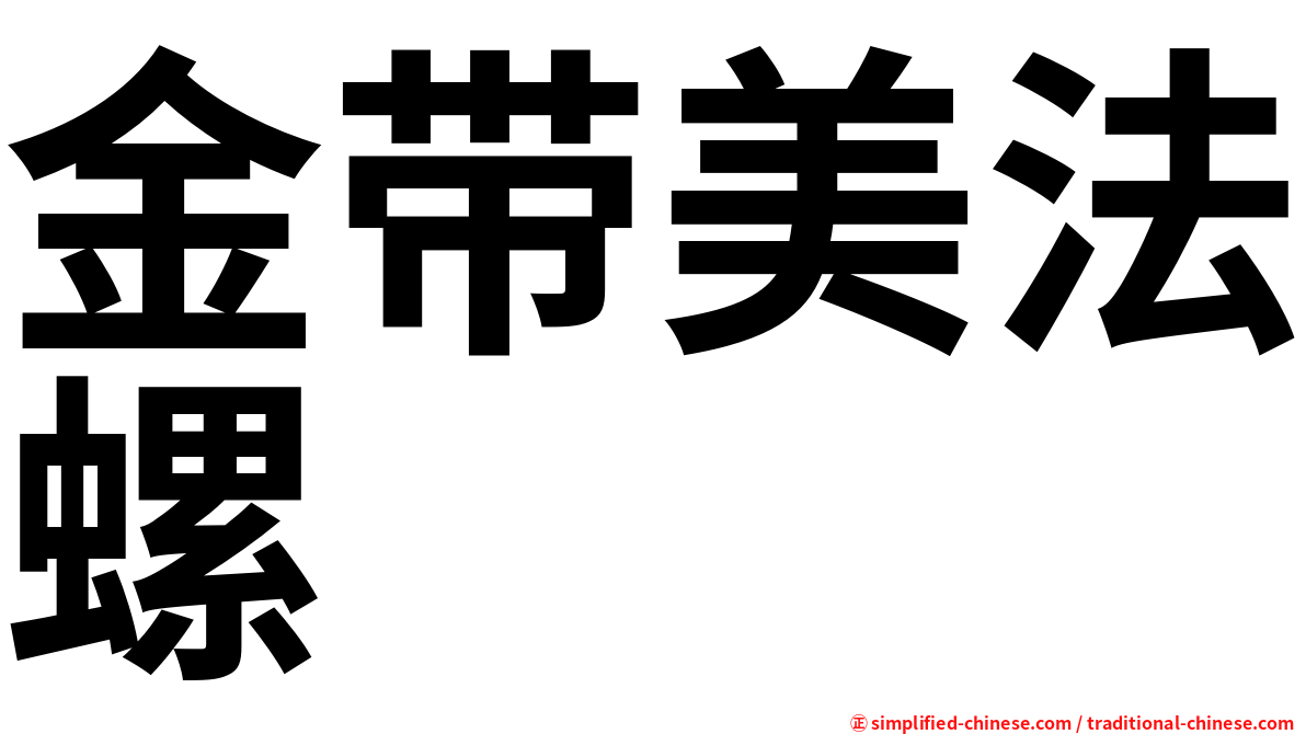 金带美法螺