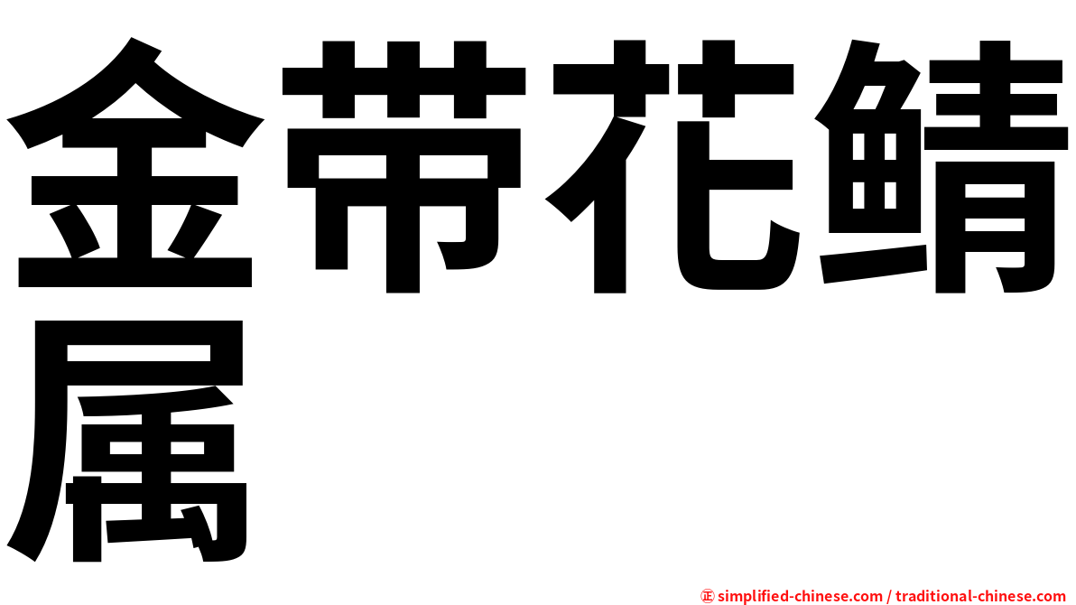 金带花鲭属