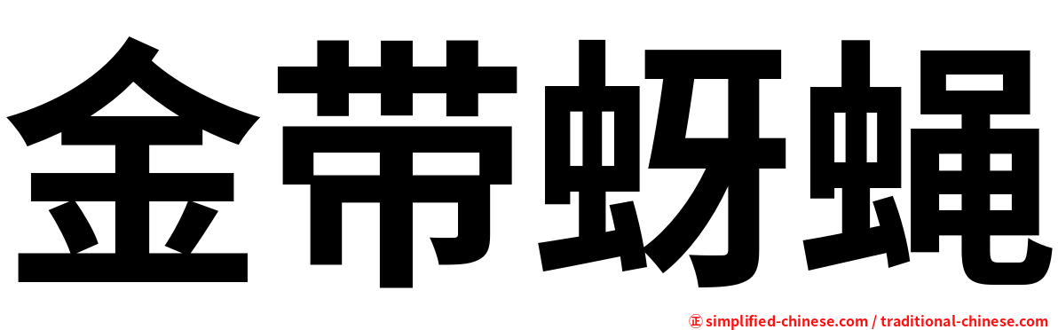 金带蚜蝇