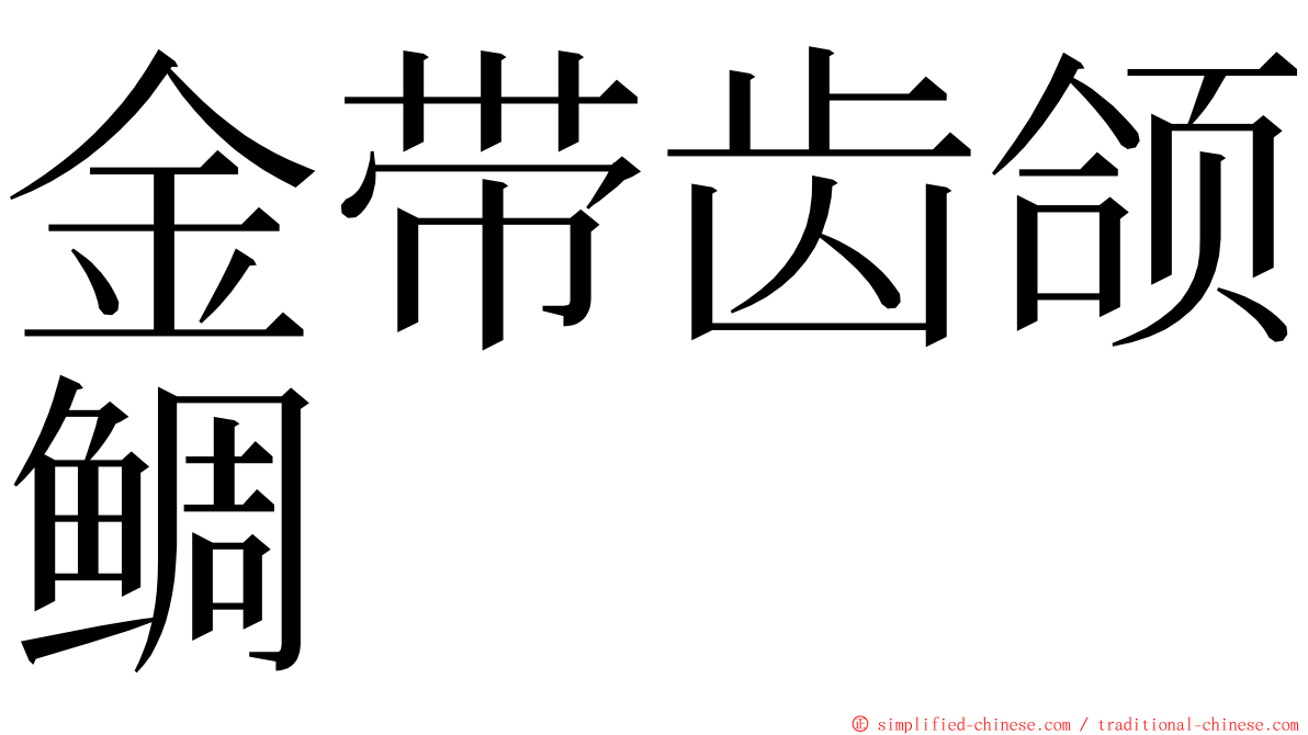 金带齿颌鲷 ming font