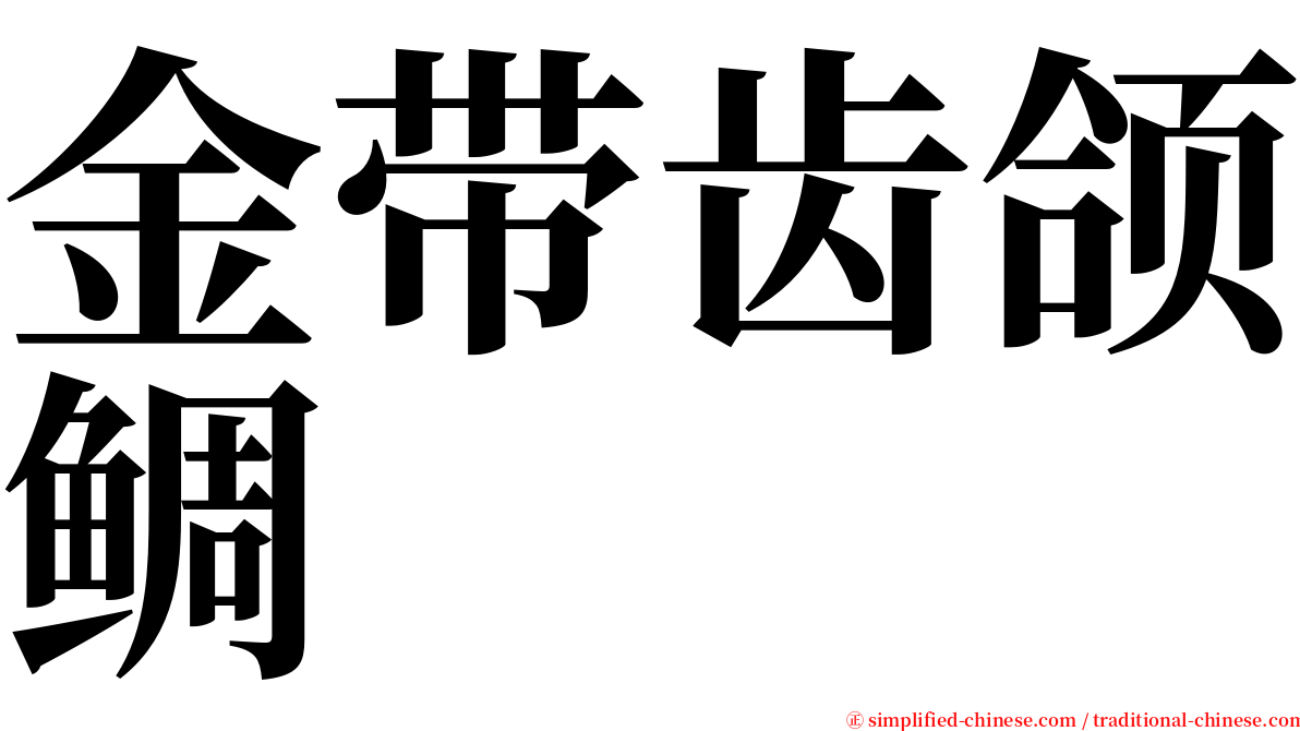 金带齿颌鲷 serif font