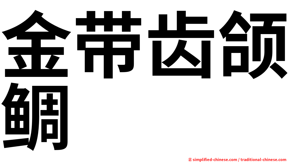 金带齿颌鲷