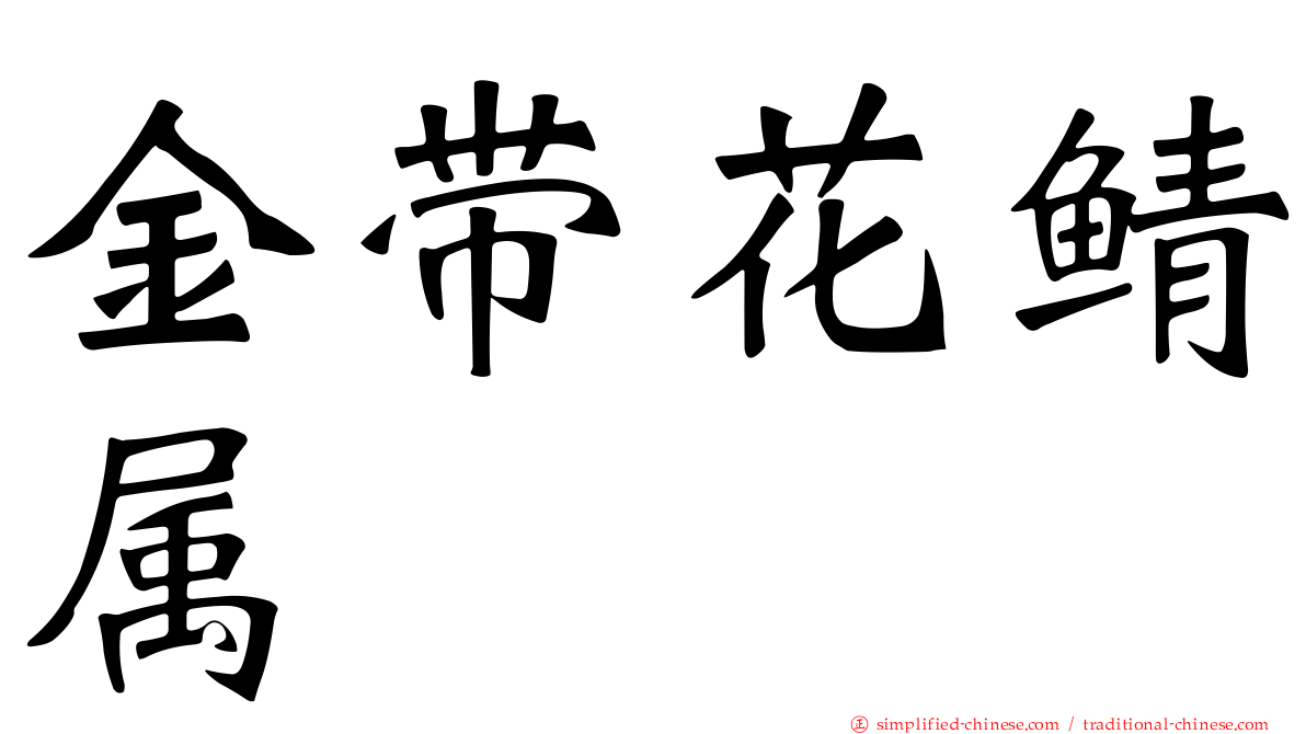 金带花鲭属