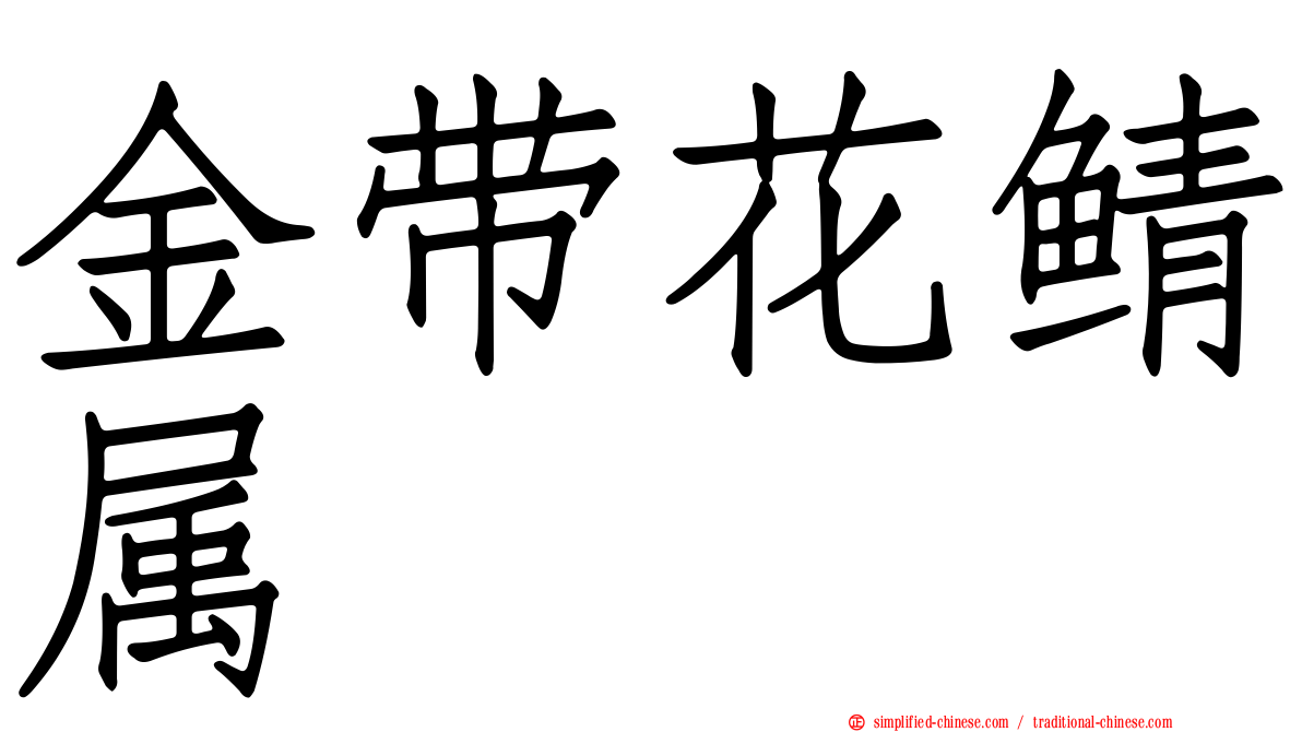金带花鲭属