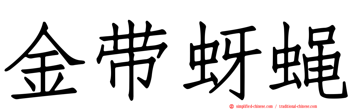 金带蚜蝇