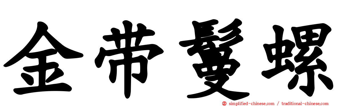 金带鬘螺