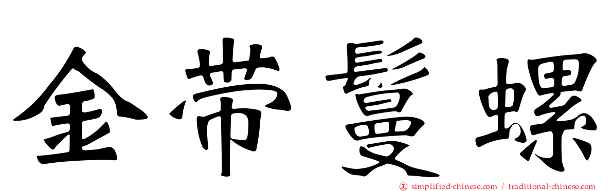 金带鬘螺
