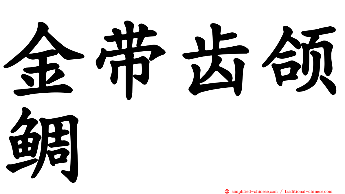 金带齿颌鲷