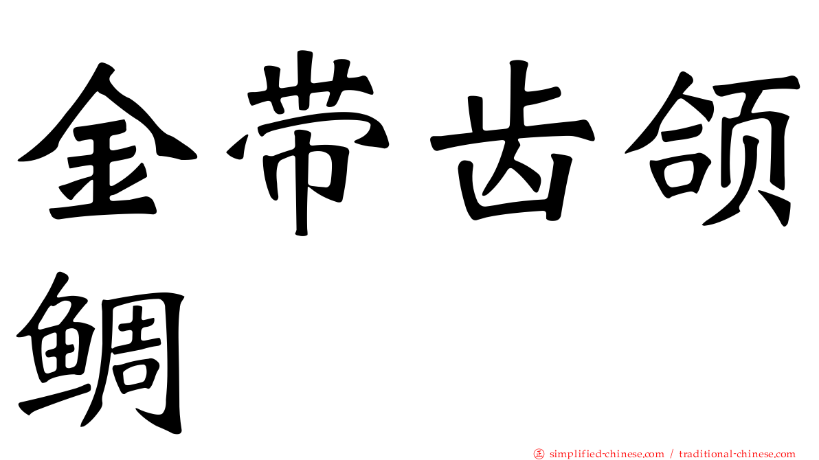 金带齿颌鲷