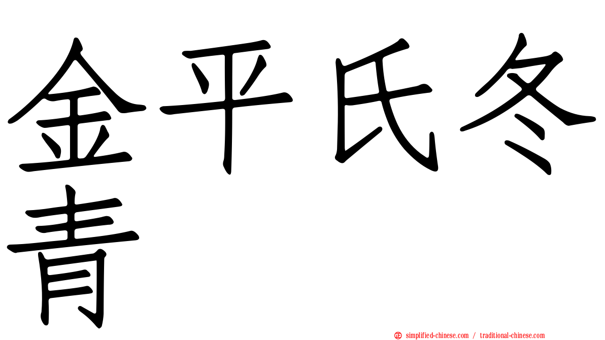 金平氏冬青