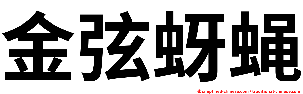 金弦蚜蝇