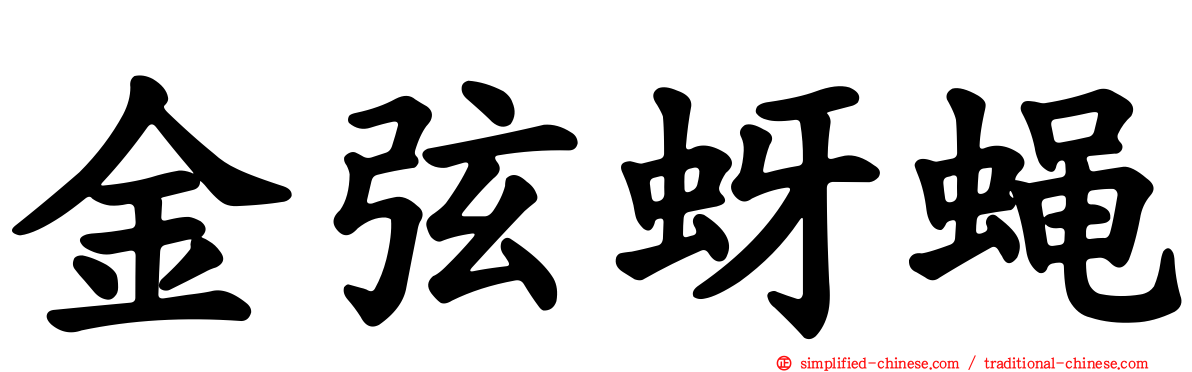 金弦蚜蝇