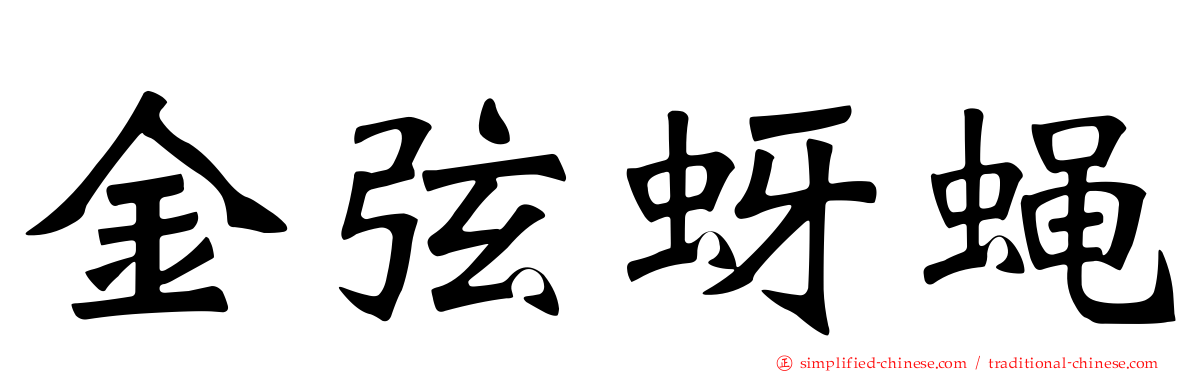 金弦蚜蝇