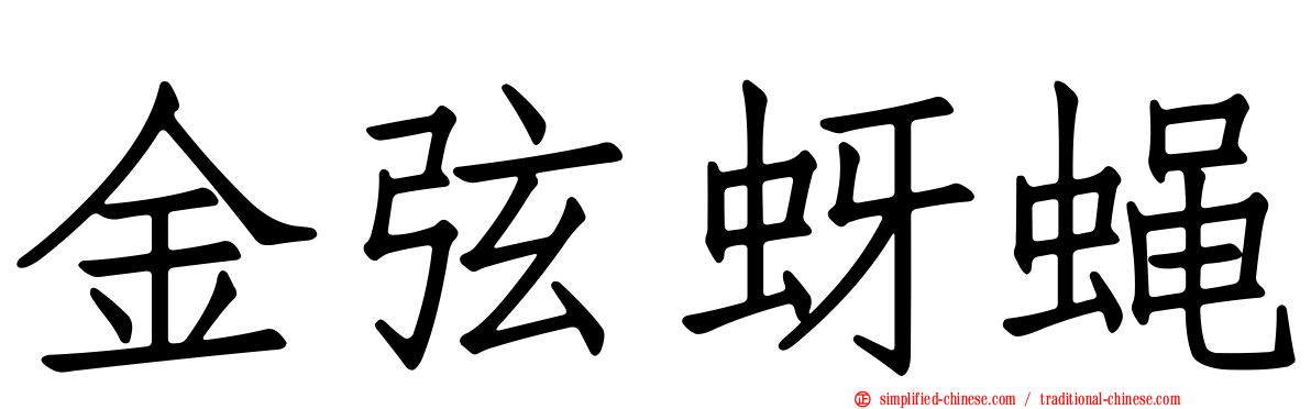 金弦蚜蝇