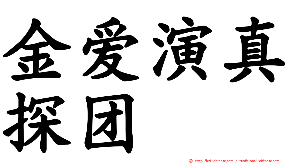 金爱演真探团
