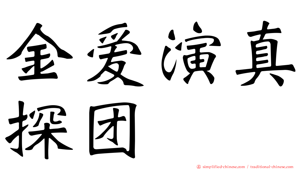 金爱演真探团