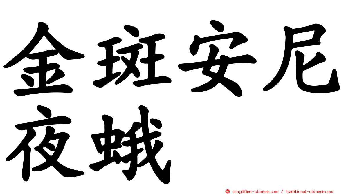 金斑安尼夜蛾