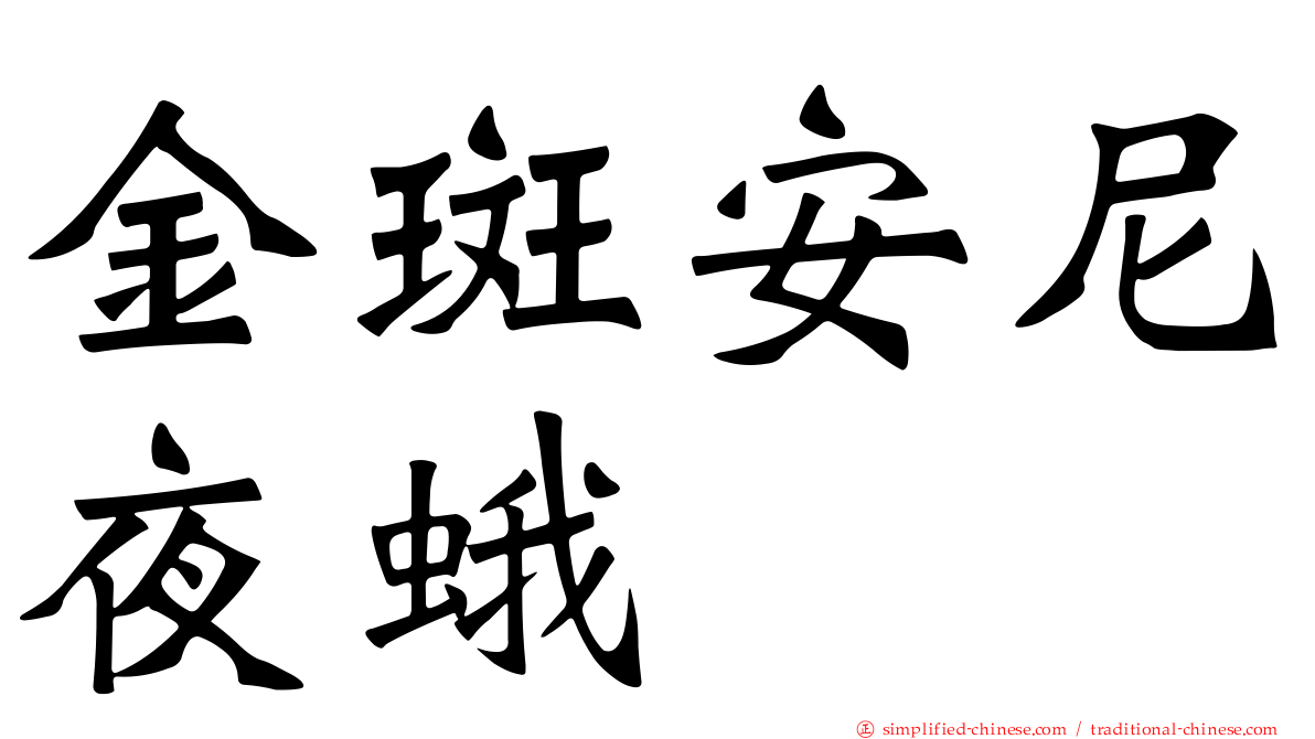 金斑安尼夜蛾