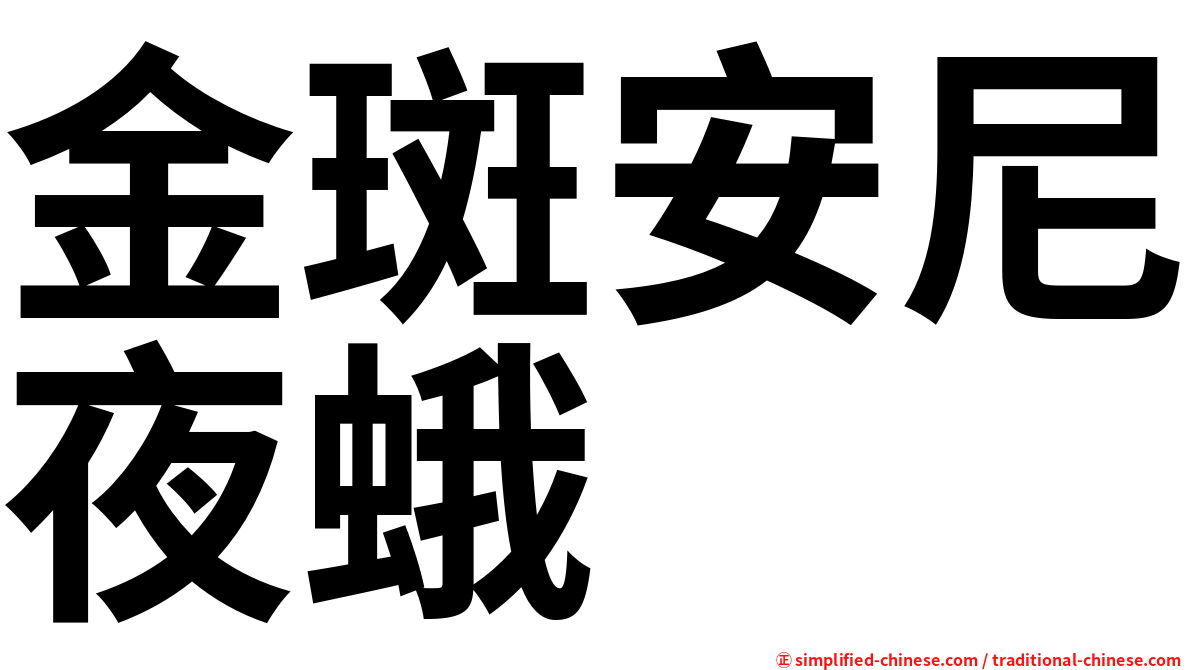 金斑安尼夜蛾