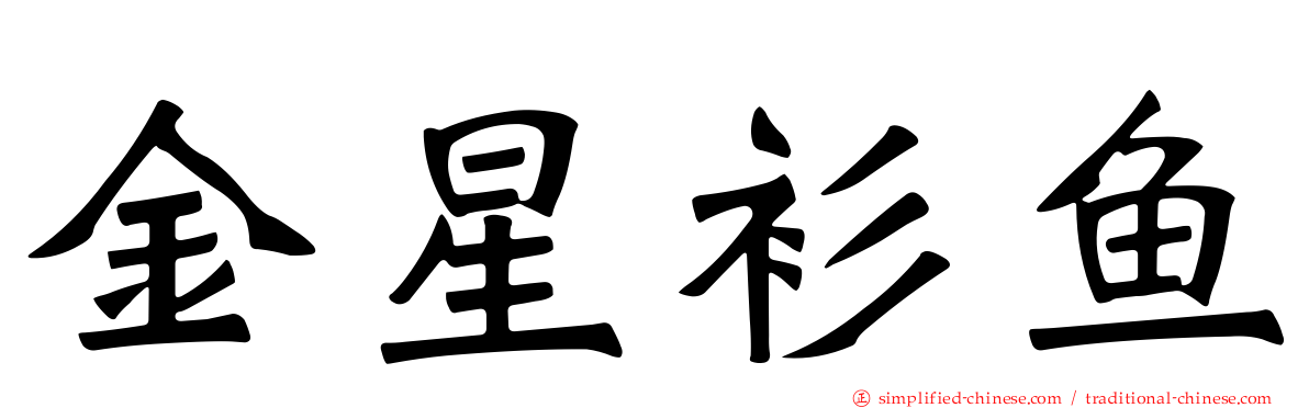 金星衫鱼