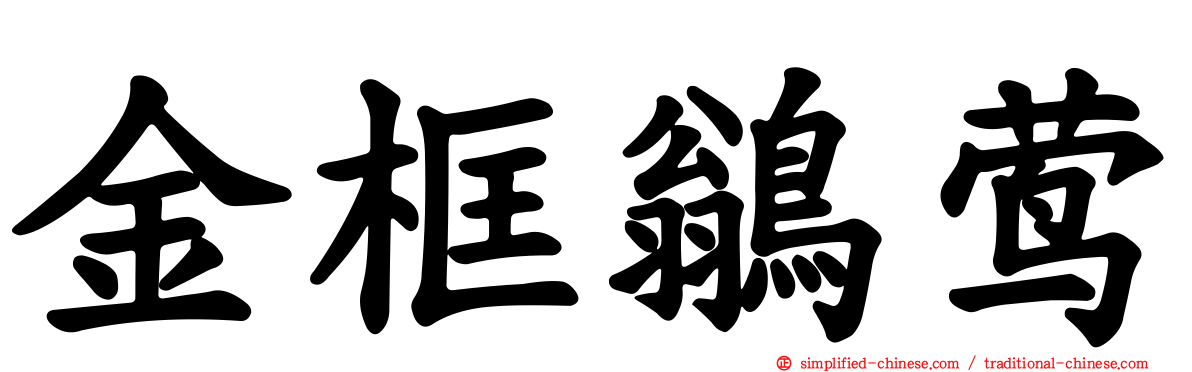 金框鹟莺