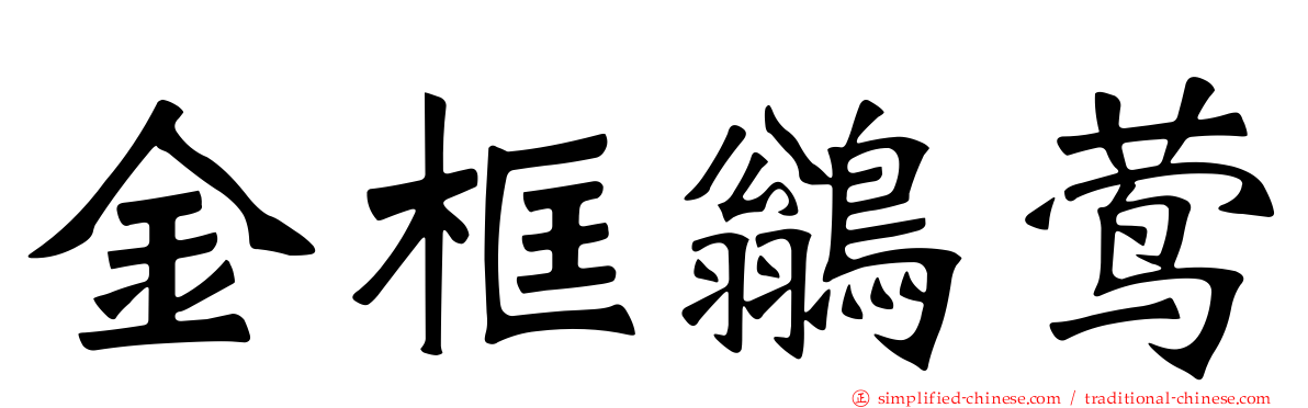 金框鹟莺