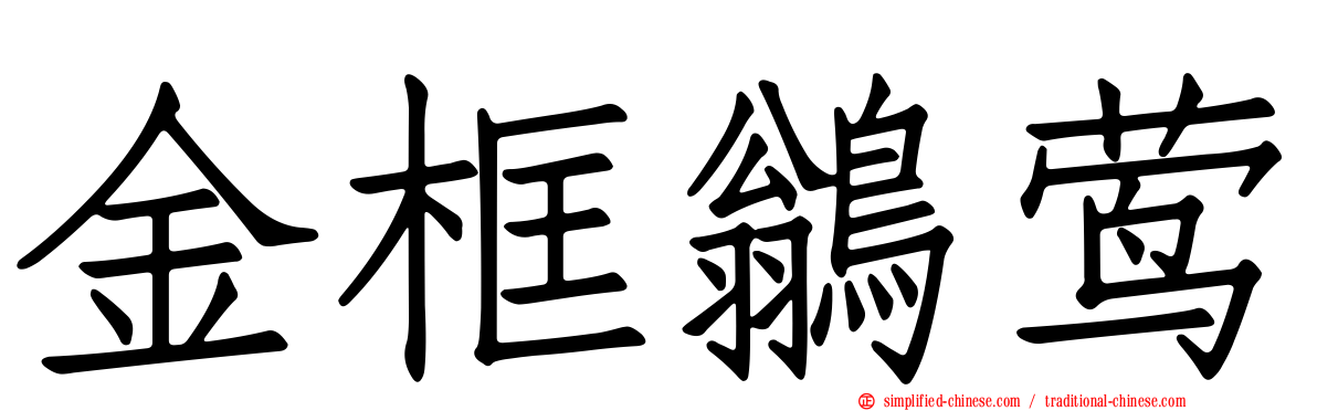 金框鹟莺