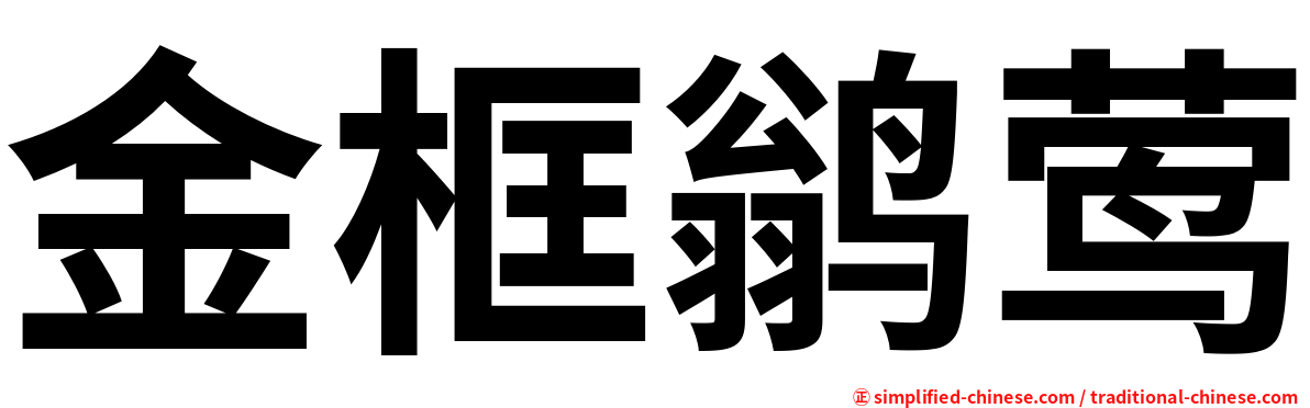 金框鹟莺