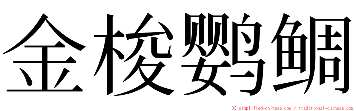 金梭鹦鲷 ming font