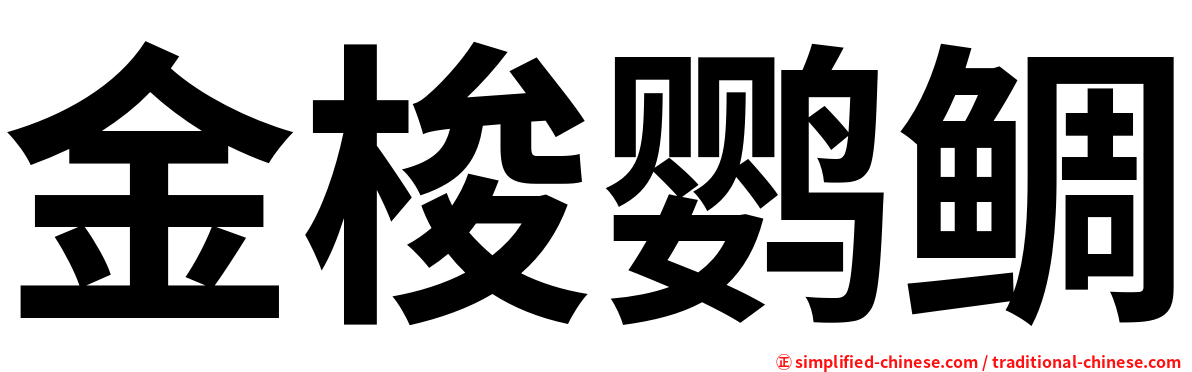 金梭鹦鲷