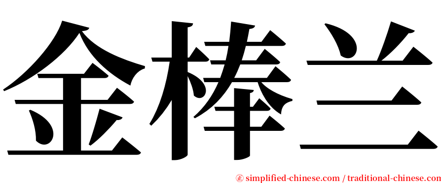 金棒兰 serif font