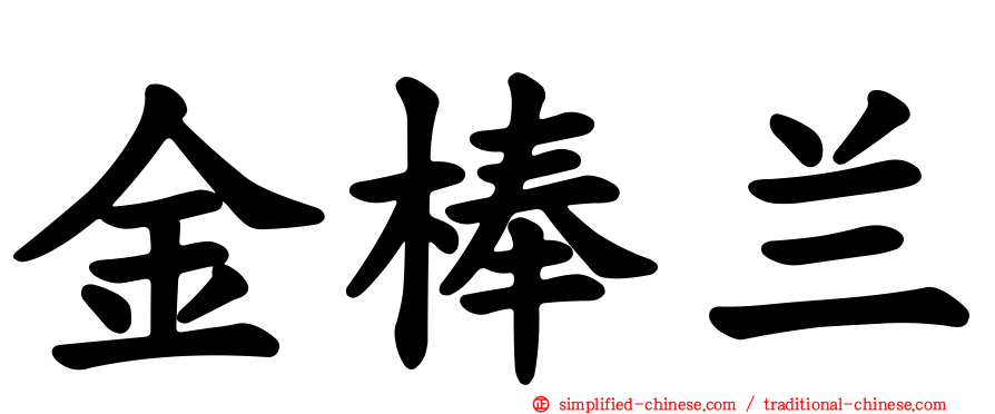金棒兰