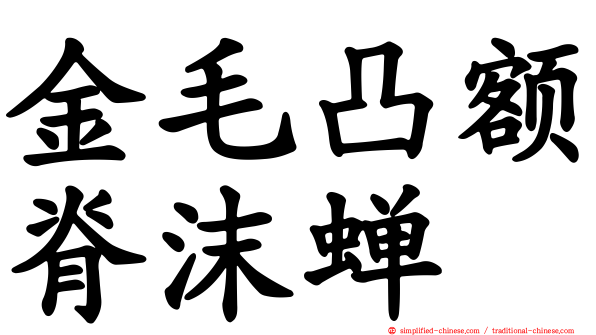 金毛凸额脊沫蝉