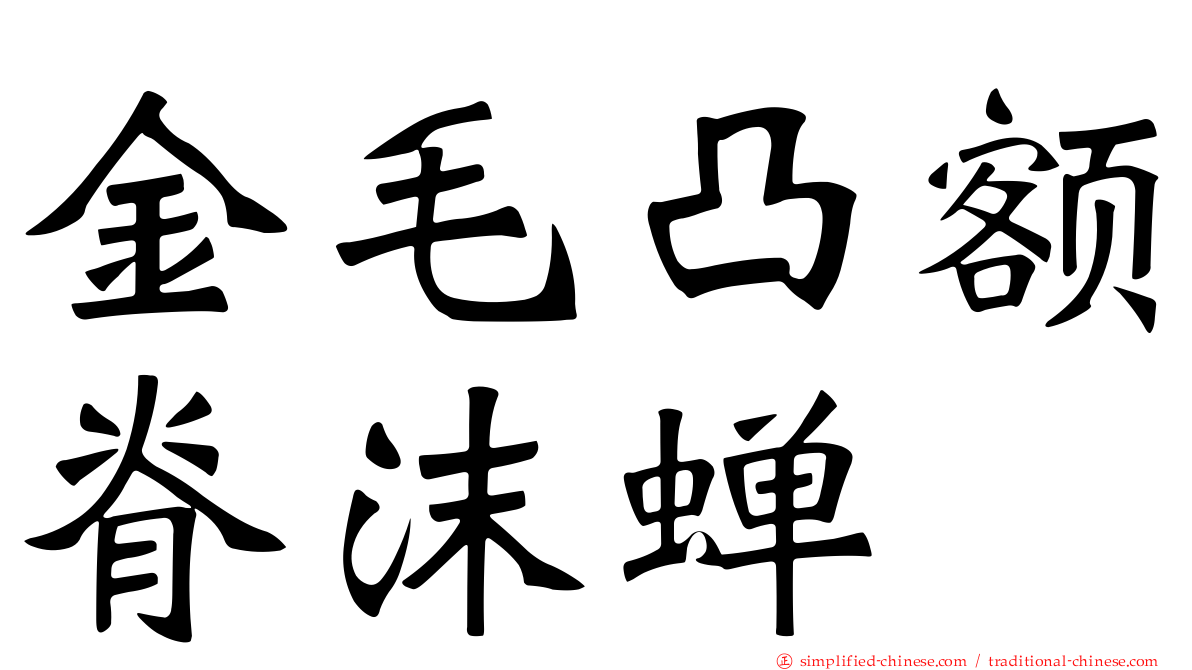 金毛凸额脊沫蝉
