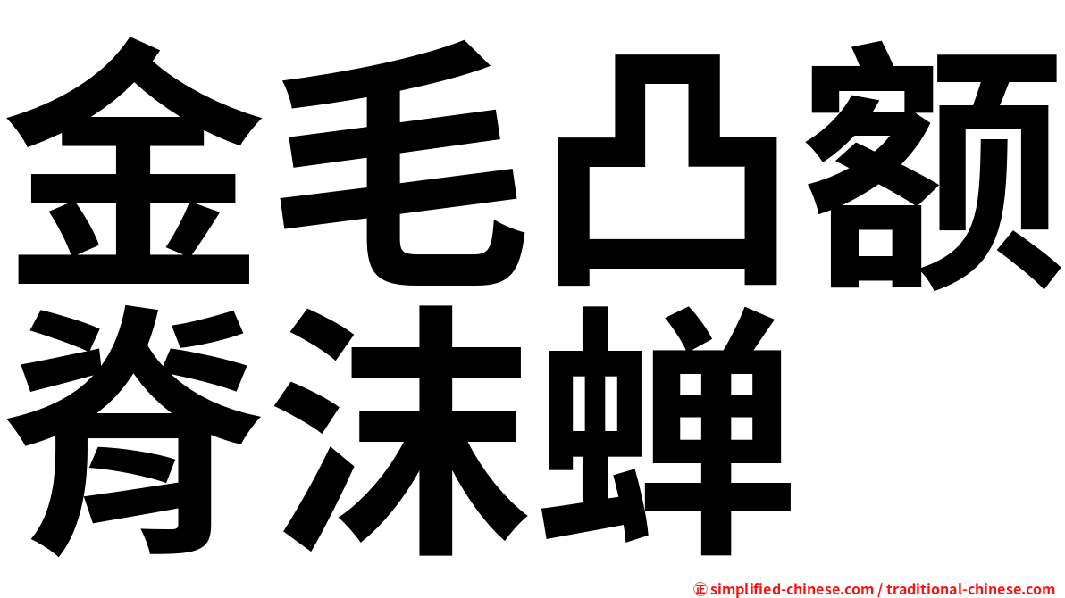 金毛凸额脊沫蝉