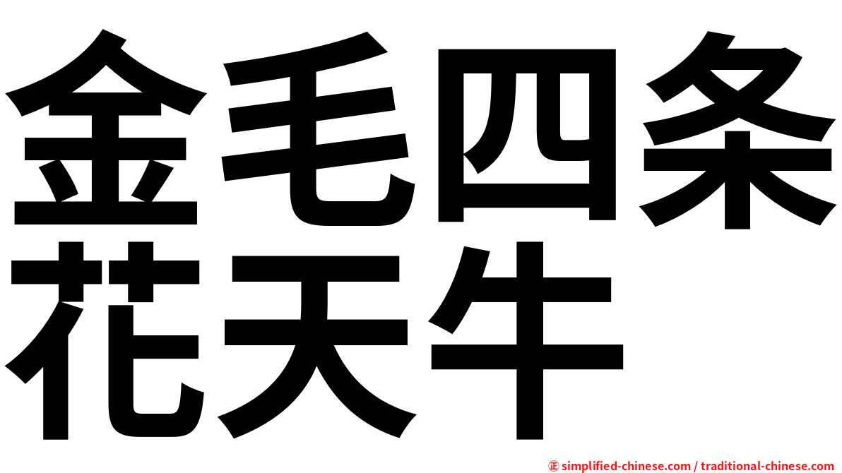 金毛四条花天牛