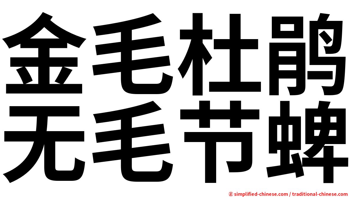 金毛杜鹃无毛节蜱