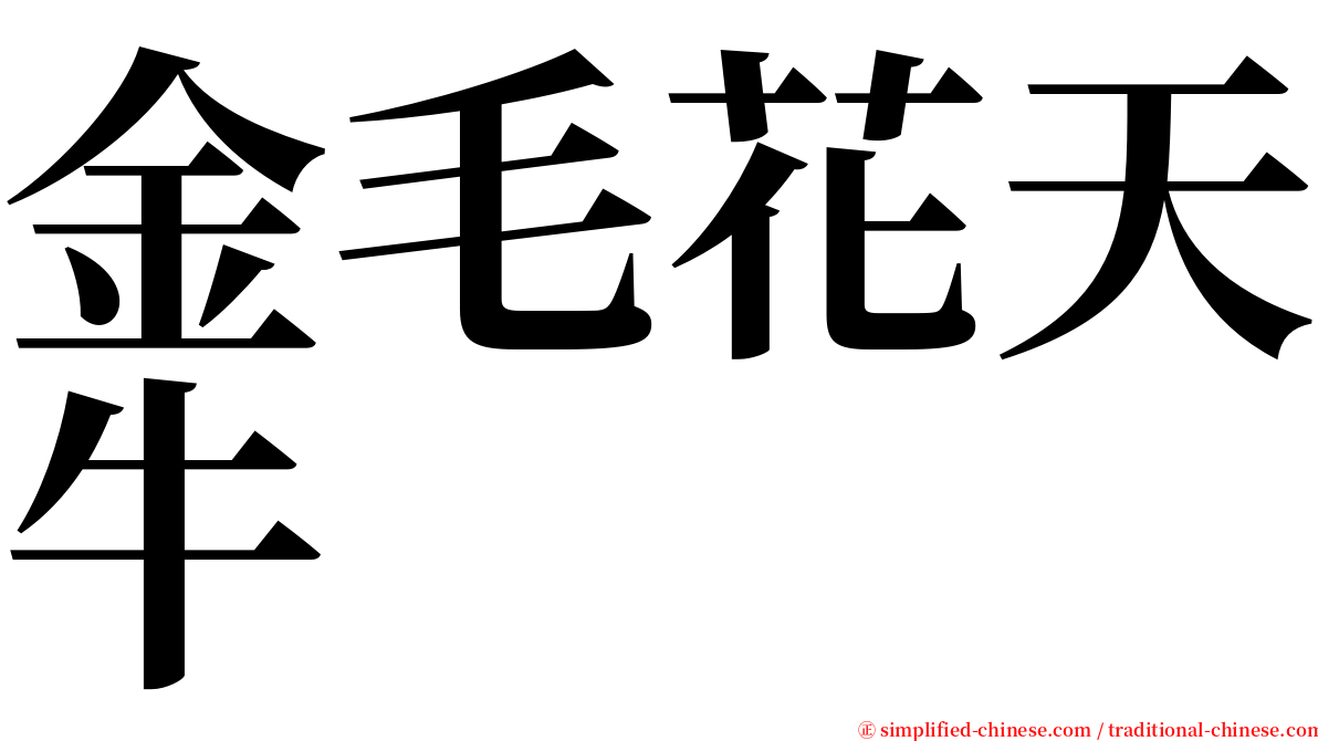 金毛花天牛 serif font