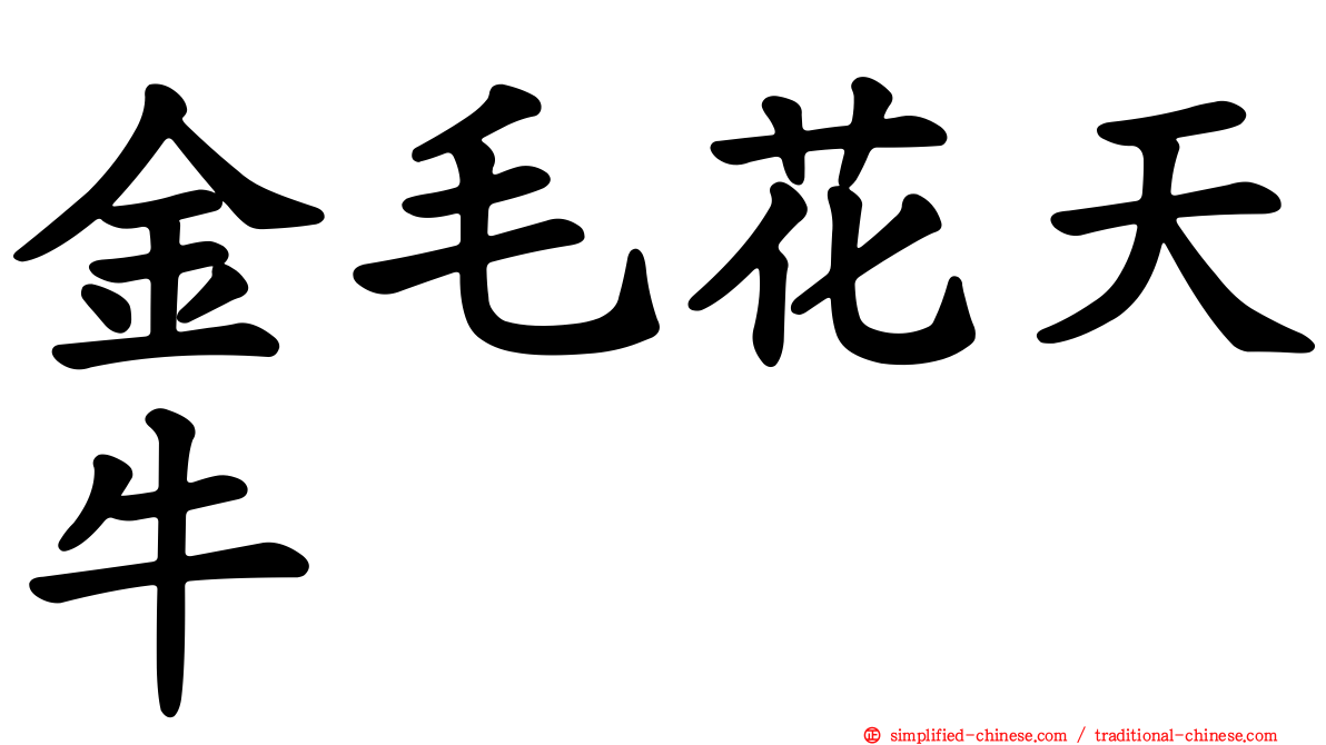 金毛花天牛
