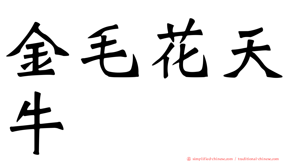 金毛花天牛