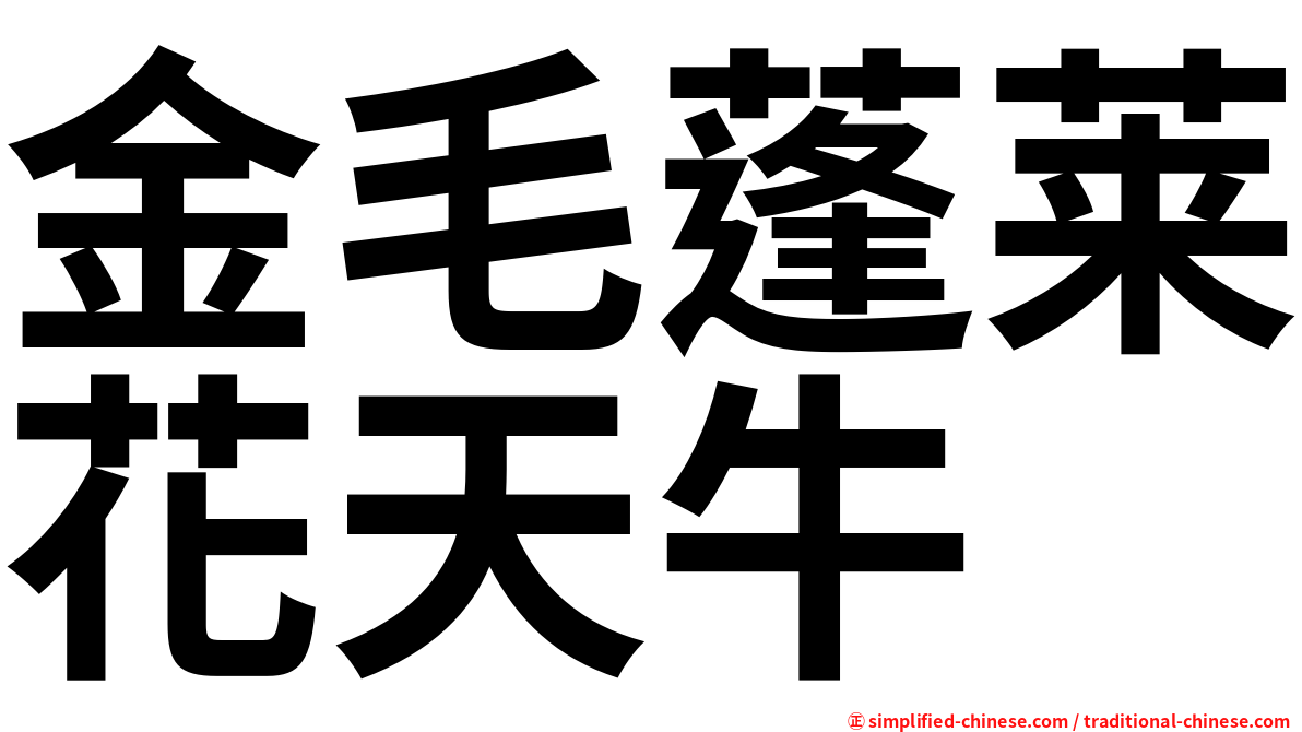 金毛蓬莱花天牛