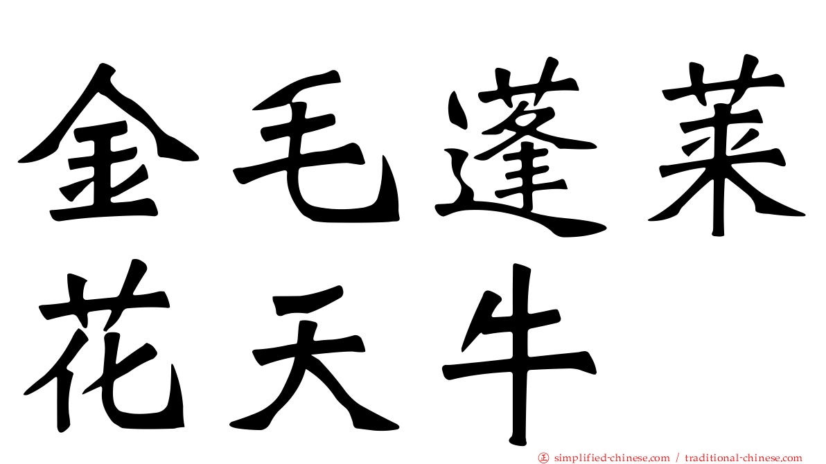金毛蓬莱花天牛