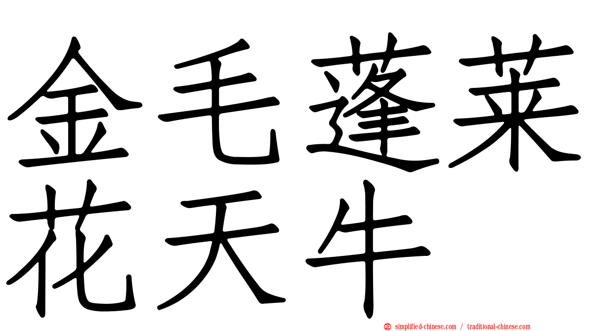 金毛蓬莱花天牛