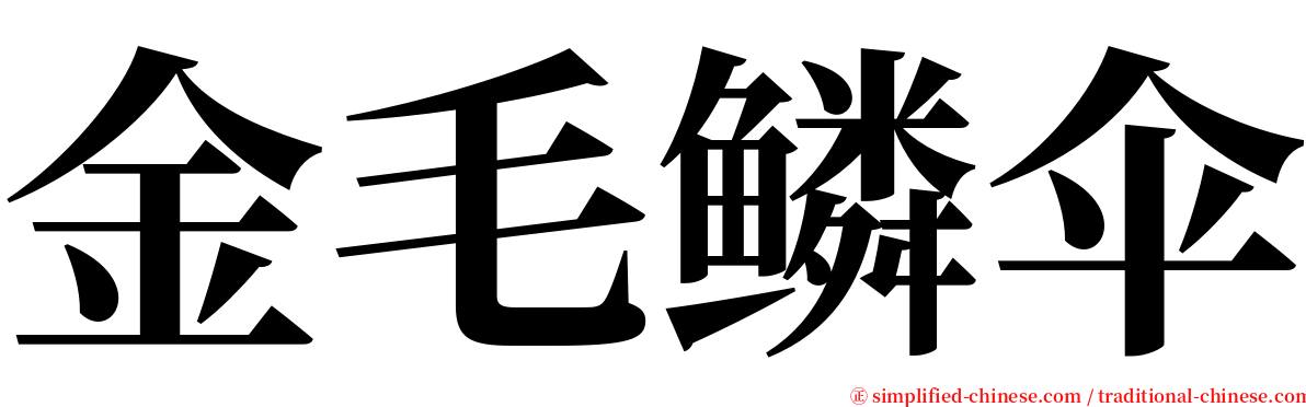 金毛鳞伞 serif font