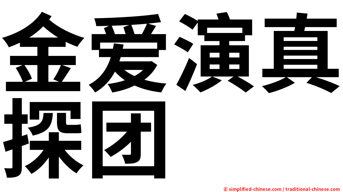 金爱演真探团