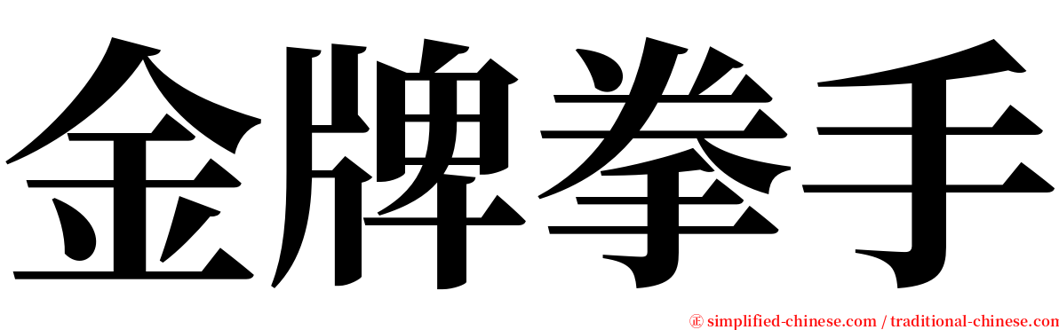 金牌拳手 serif font